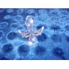 2 "  ACRYLIC DISPLAY STAND SEA SHELL DECOR REEF CORAL