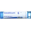 Boiron, Causticum 6c Multi Dose Tube, 80 Count