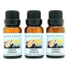 Crazy Candles Ginger Verbena 3 Bottles 1/2 Fl Oz Each (15ml) Premium Grade Scented Fragrance Oil (Fresh Ginger, Lemon and Ripe Grapefruit Aroma)