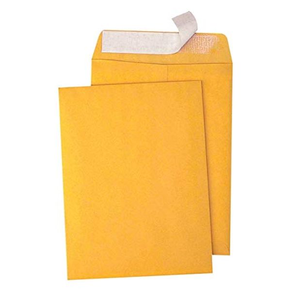 Quality Park 9" x 12" Self-Seal Catalog Envelopes, for Mailing, Organizing and Storage, Brown Kraft, Heavy 28-lb Paper, 100 Per Box (QUA44562)