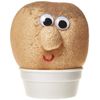 Keycraft Mr Grass Head Toy
