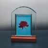 Bella Robe DSP-1-C-S Soda Glass Shield with Silver Frame