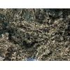 Mullein + Raspberry Leaf Healing Medicinal Organic Herbal Tea Mix 2 lb's POUND's