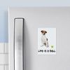 CafePress Jack Russell Terrier Life Rectangle Magnet, 3"x2" Refrigerator Magnet