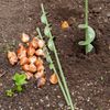 Crocus Collection 45cm Bulb Planter Screening Post Hole Auger Compost Aerator Handheld Twist Drill Bit