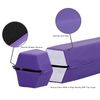 6FT Floor Folding Balance Beam Non Slip Base Gymnastics Beam Practice Training