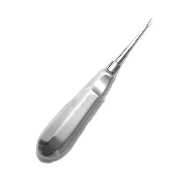 OdontoMed2011 Dental Root Elevators No. 301 Stainless Steel