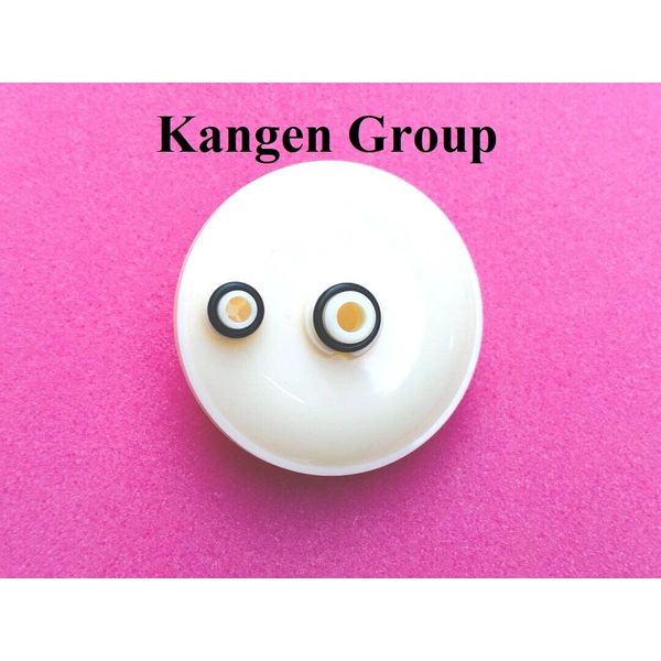 Authentic Original Enagic cleaning cartridge for Kangen K8 Machine