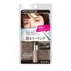 Heavy Rotation Coloring Eyebrow Micro 08 - Ash Gray