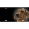 Dachshund - Personalized FREE Custom License Plate Frame Auto Tag - Dog 