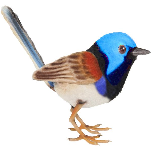 BH8410 HANSA Munigro Australian Warbler 12