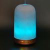 Earnest Living Essential Oil Diffusers for Essential Oils 100 ml Ultrasonic Diffusers 4 Timers Night Lights and Auto Off Function Home Office Aromatherapy Diffusers for Essential Oils