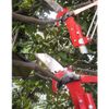 26 ft. Tree Pruner Pole Saw Blade Branch Limb Pruning Trimmer Cutter Extendable