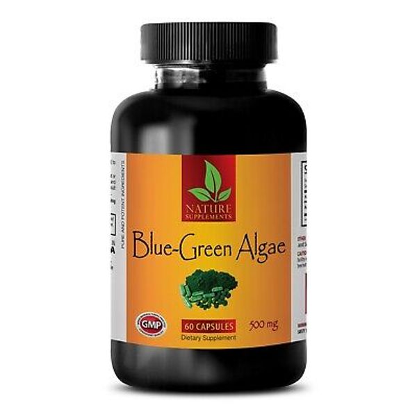 BLUE GREEN ALGAE 500mg - Stem Cell Activator - Best Antioxidant - 1B