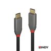 LINDY 1m ANTHRA LINE USB3.2 Gen2x2 Type-C Cable + PD Smart Chip (Model Number: 36901)