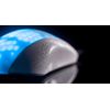 Roccat Gaming Mouse