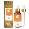 Crysalis Ravintsara (Cinnamomum Camphora) Oil - 30 ml/1.01 fl oz
