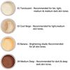 ABRUS - Translucent Makeup Setting Matte Face Powder + Setting Powder Puff, Long Lasting Translucent Setting Powder Lightweight Foundation Make Up Fixer (101 Translucent)