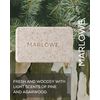 MARLOWE. No. 102 Men's Body Scrub Soap 7 oz | Best Exfoliating Bar for Men | Made with Natural Ingredients | Green Tea Extract | Amazing Scent