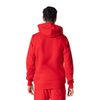 FC Bayern München Essential Zip Hoodie Men's Red, red