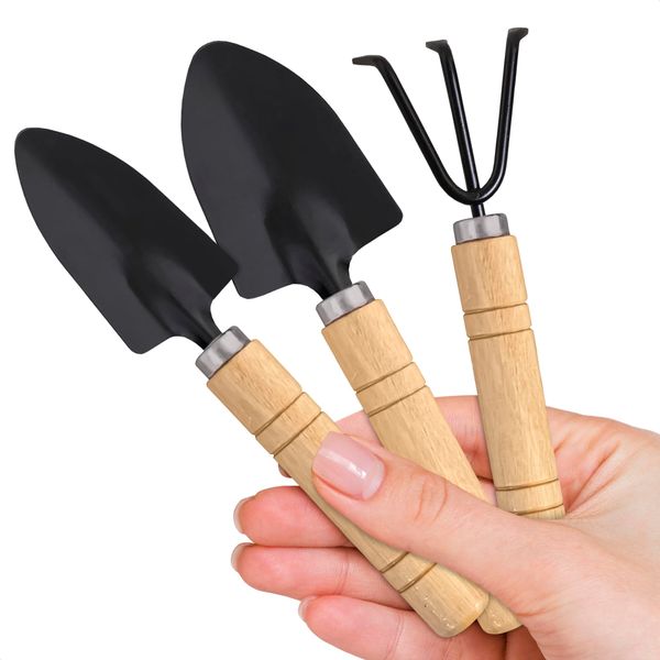 Hand Shovel for Gardening Trowel Garden Tool - 3Pcs Planting Tools Small Garden Rake Ergonomic Hand Tools Set Edging Shovel Indoor Plants Tools - Gardening Tools Heavy Duty Shovel Garden Tool Set