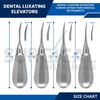 4 Curved Luxating Elevators Set Dental Oral Instruments Stainless German Grade