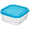 Bormioli Rocco SQUARE 10x10 Transparent 1 Stück (1er Pack)