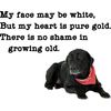CafePress Old Black Lab Large Mug 15 oz (444 ml) Ceramic Coffee Mug