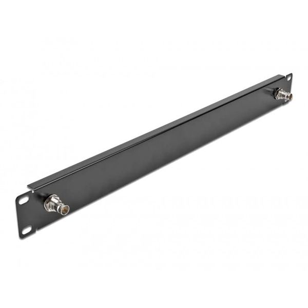 Delock 19" Panel mit 2 x BNC Buchse 1 HE schwarz