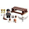 LEGO Harry Potter and Hedwig Owl Delivery