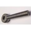 PI 027-1256 - Door Hinge Eye Bolt for 3348