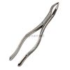 German EXTRACTING Forceps NO 65 Dental Surgical Instruments Extraction Forceps