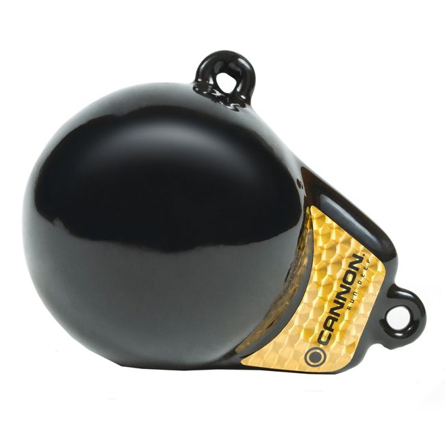 Cannon 2295180 Flash Weight, 6-Pound , Black with Gold Prism