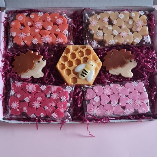Strong Scented Autumn Wax Melts Medium box (Autumn Medium Box, Medium)