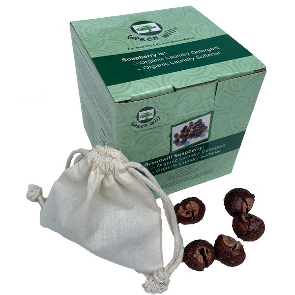 0.75 Pound (12 Ounces) Greenwill Organic De-seeded Soapberry/Soap Nut with 1 Wash Bag