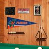 Florida Gators Gator Logo Pennant Banner Flag