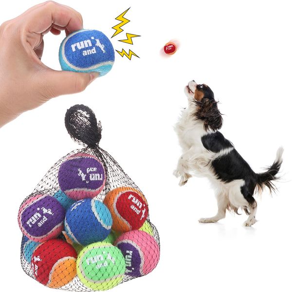 SCENEREAL Squeaky Tennis Balls for Dogs, 2" Training Bouncy Ball Toys for Small Medium Dogs Puppies, 12 Pack Interactive Dog Toys for Throwing and Fetching