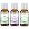 Essential Oil Set 3 - 10 ml. 100% Pure Natural Lavender Peppermint Eucalyptus