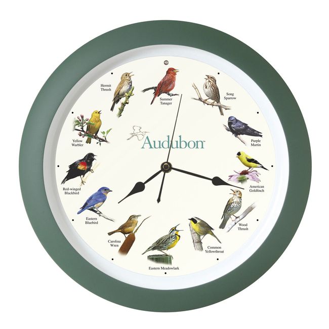 Audubon Society Singing Bird Wall Sound Clock, 13 Inch, Green