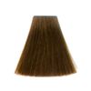 Topchic Permanent Hair Color GW 7MB 60 ml
