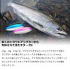 Daiwa Trout Chinook S Single Hook 25g C Lure
