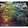 Crystal Forest