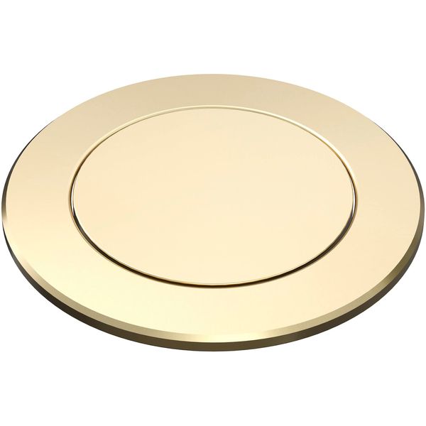 BLANCO 210667 PushControl Eccentric, Satin Gold