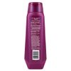 INFUSIUM, Shampoo, Repair and Renew, 13.5 oz., (ea.)