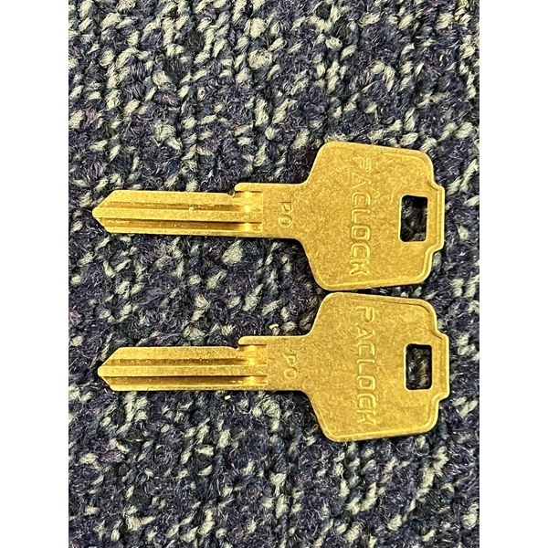 Paclock P0 Key Blank (2-pack)