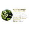 Sepbèleco Essential Oil Roll On Nail Oil (Reset 5 ml) Additive-Free Organic Forest