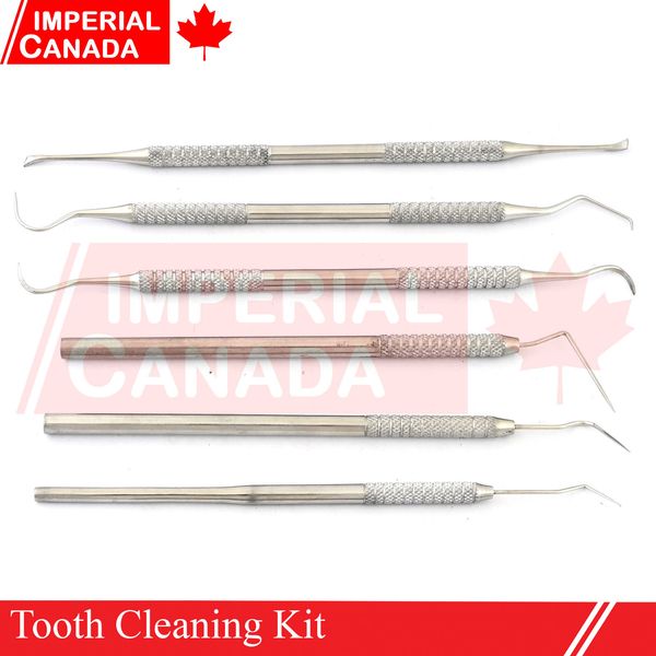 Tooth Cleaning Kit Tartar Remover Endodontics Spreader Probe Explorer De DS-2141