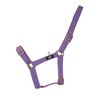 Hy Holly Fully Adjustable Headcollar(Royal, Pony)