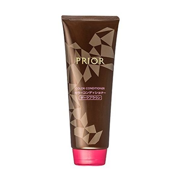 purio-ru Color Conditioner n Dark Brown G X