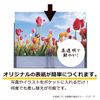 Sekisei PKH-7482 File Postcard Holder, Pakkun Black
